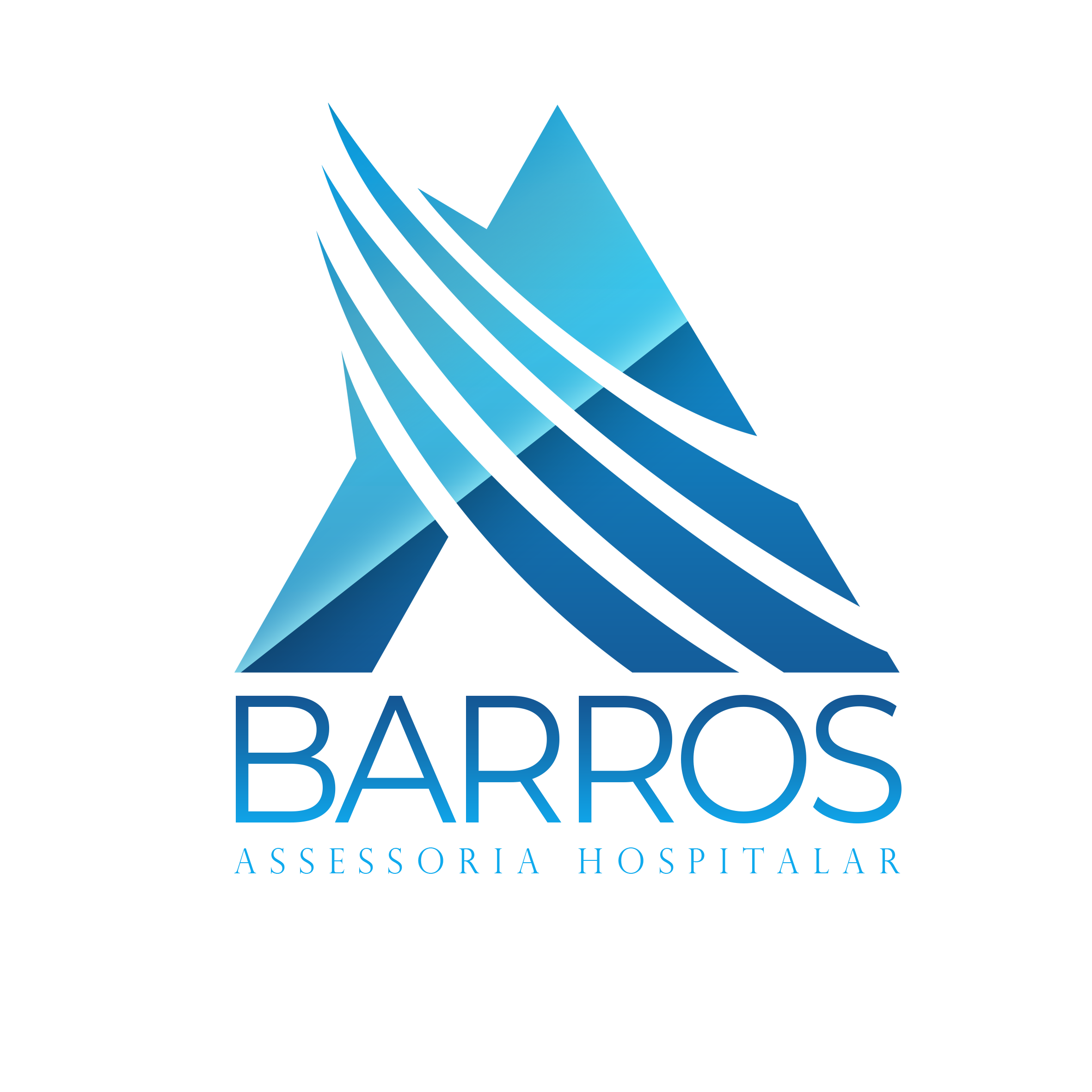 A barros : Brand Short Description Type Here.